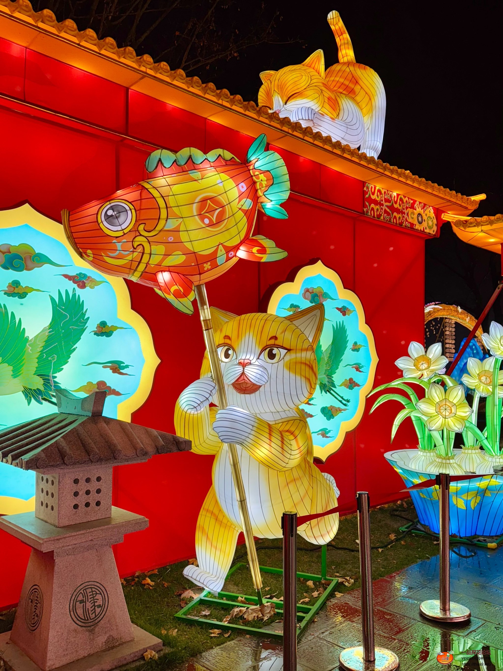 蠢猫花灯小狼很喜欢.jpg
